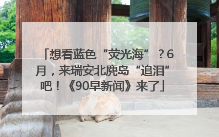 想看蓝色“荧光海”？6月，来瑞安北麂岛“追泪”吧！《90早新闻》来了