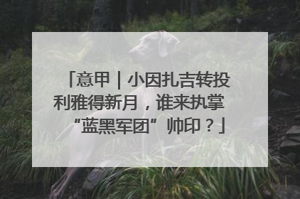 意甲｜小因扎吉转投利雅得新月，谁来执掌“蓝黑军团”帅印？