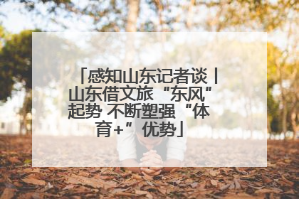 感知山东记者谈丨山东借文旅“东风”起势 不断塑强“体育+”优势