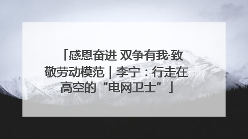 感恩奋进 双争有我·致敬劳动模范｜李宁：行走在高空的“电网卫士”