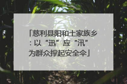 慈利县阳和土家族乡：以“迅”应“汛” 为群众撑起安全伞