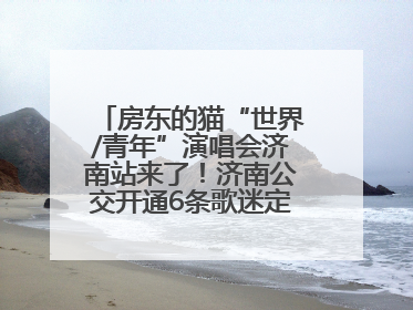 房东的猫“世界/青年”演唱会济南站来了！济南公交开通6条歌迷定制专线
