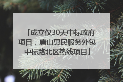成立仅30天中标政府项目，唐山惠民服务外包中标路北区热线项目