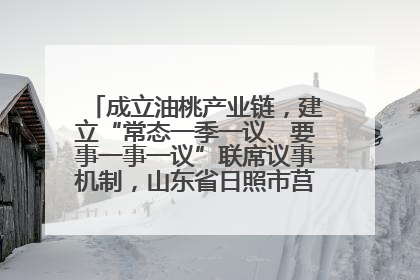 成立油桃产业链，建立“常态一季一议、要事一事一议”联席议事机制，山东省日照市莒县果庄镇——13个党小组“全周期”育果