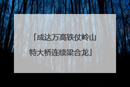成达万高铁仗岭山特大桥连续梁合龙