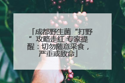成都野生菌“打野”攻略走红 专家提醒：切勿随意采食，严重或致命