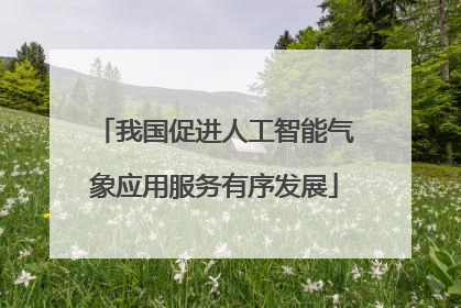 我国促进人工智能气象应用服务有序发展