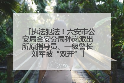 执法犯法！六安市公安局金安分局孙岗派出所原指导员、一级警长刘军被“双开”