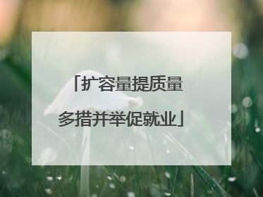 扩容量提质量 多措并举促就业