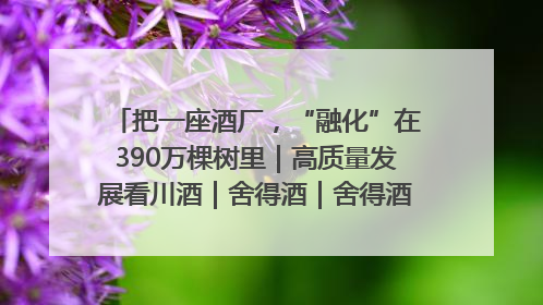 把一座酒厂，“融化”在390万棵树里｜高质量发展看川酒｜舍得酒｜舍得酒业｜舍得老酒｜沱牌酒