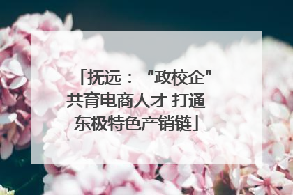 抚远：“政校企”共育电商人才 打通东极特色产销链