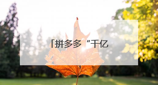 拼多多“千亿扶持”搭台，小鱼缸在电商西进中找到大商机