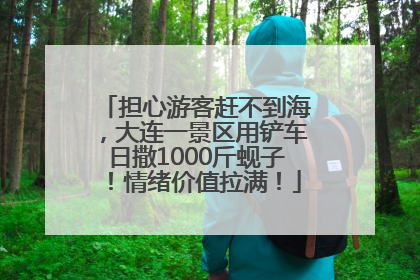 担心游客赶不到海，大连一景区用铲车日撒1000斤蚬子！情绪价值拉满！