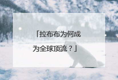 拉布布为何成为全球顶流？