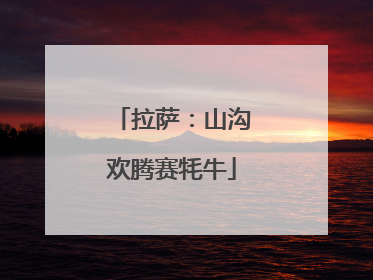 拉萨：山沟欢腾赛牦牛