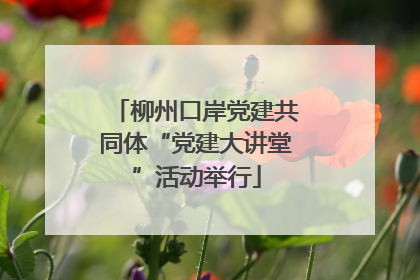 柳州口岸党建共同体“党建大讲堂”活动举行