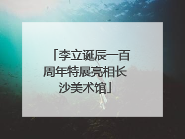 李立诞辰一百周年特展亮相长沙美术馆