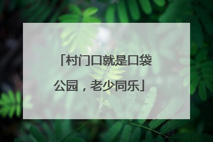 村门口就是口袋公园，老少同乐