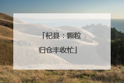 杞县：颗粒归仓丰收忙