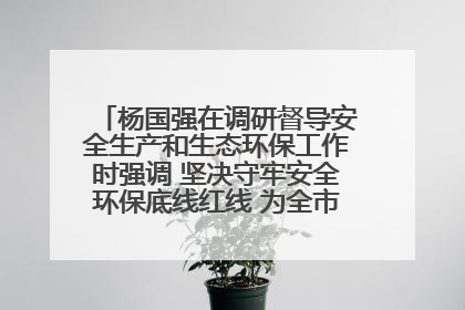 杨国强在调研督导安全生产和生态环保工作时强调 坚决守牢安全环保底线红线 为全市经济社会高质量发展提供坚强保障