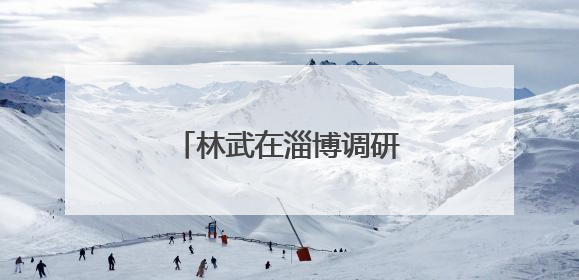 林武在淄博调研督导经济运行