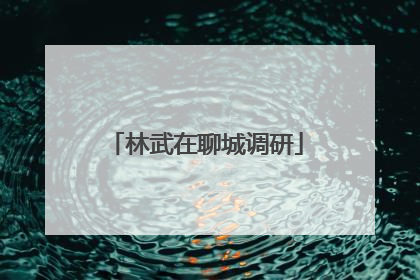 林武在聊城调研