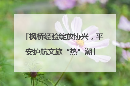 枫桥经验绽放协兴，平安护航文旅“热”潮