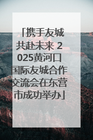 携手友城 共赴未来 2025黄河口国际友城合作交流会在东营市成功举办