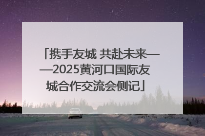 携手友城 共赴未来——2025黄河口国际友城合作交流会侧记