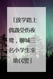 放学路上偶遇受伤夜鹭，聊城三名小学生求助民警