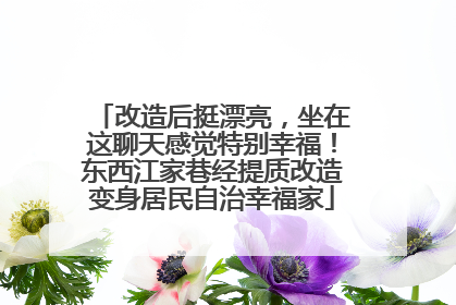 改造后挺漂亮，坐在这聊天感觉特别幸福！东西江家巷经提质改造变身居民自治幸福家