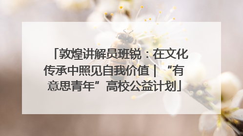 敦煌讲解员班锐：在文化传承中照见自我价值｜“有意思青年”高校公益计划
