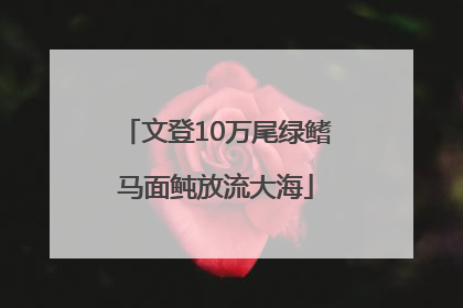 文登10万尾绿鳍马面鲀放流大海