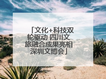 文化+科技双轮驱动 四川文旅融合成果亮相深圳文博会