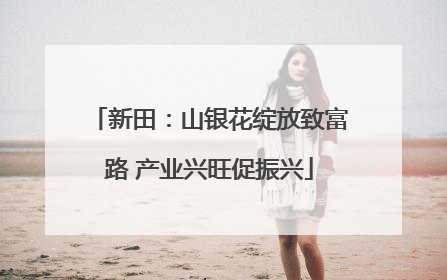 新田：山银花绽放致富路 产业兴旺促振兴