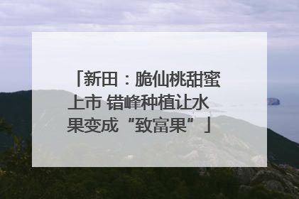 新田：脆仙桃甜蜜上市 错峰种植让水果变成“致富果”