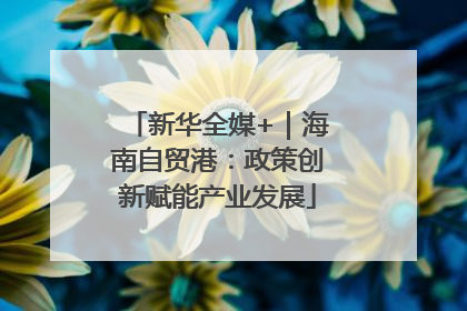 新华全媒+｜海南自贸港：政策创新赋能产业发展