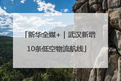 新华全媒+｜武汉新增10条低空物流航线