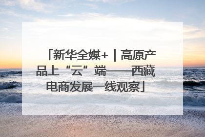 新华全媒+｜高原产品上“云”端——西藏电商发展一线观察