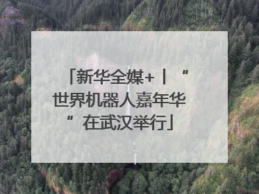 新华全媒+丨“世界机器人嘉年华”在武汉举行