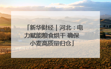 新华财经｜河北：电力赋能粮食烘干 确保小麦高质量归仓