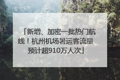新增、加密一批热门航线！杭州机场暑运客流量预计超910万人次