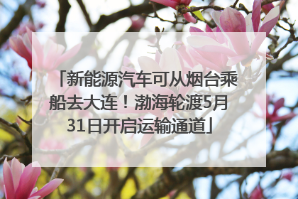新能源汽车可从烟台乘船去大连！渤海轮渡5月31日开启运输通道