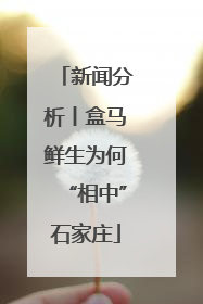 新闻分析丨盒马鲜生为何“相中”石家庄