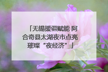无锡援疆赋能 阿合奇县太湖夜市点亮璀璨“夜经济”