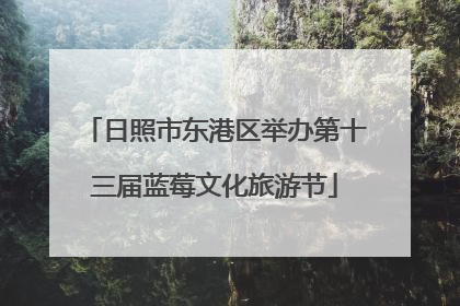 日照市东港区举办第十三届蓝莓文化旅游节
