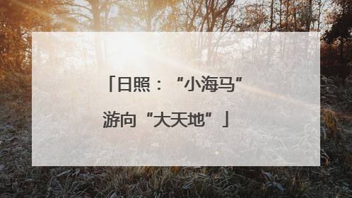 日照：“小海马”游向“大天地”