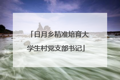 日月乡精准培育大学生村党支部书记
