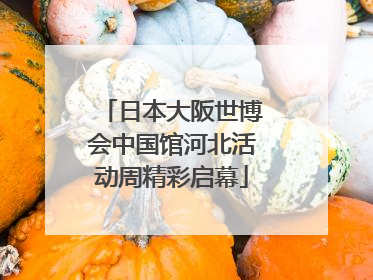 日本大阪世博会中国馆河北活动周精彩启幕