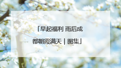 早起福利 雨后成都朝霞满天｜图集